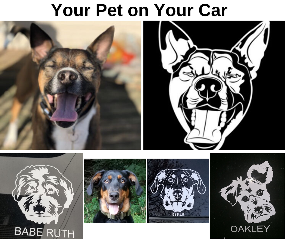 Ad by mypetprints.co