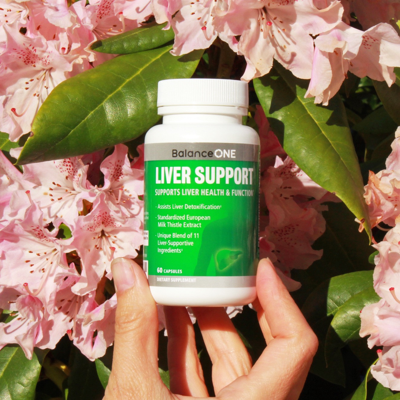 Ad by balanceone.com