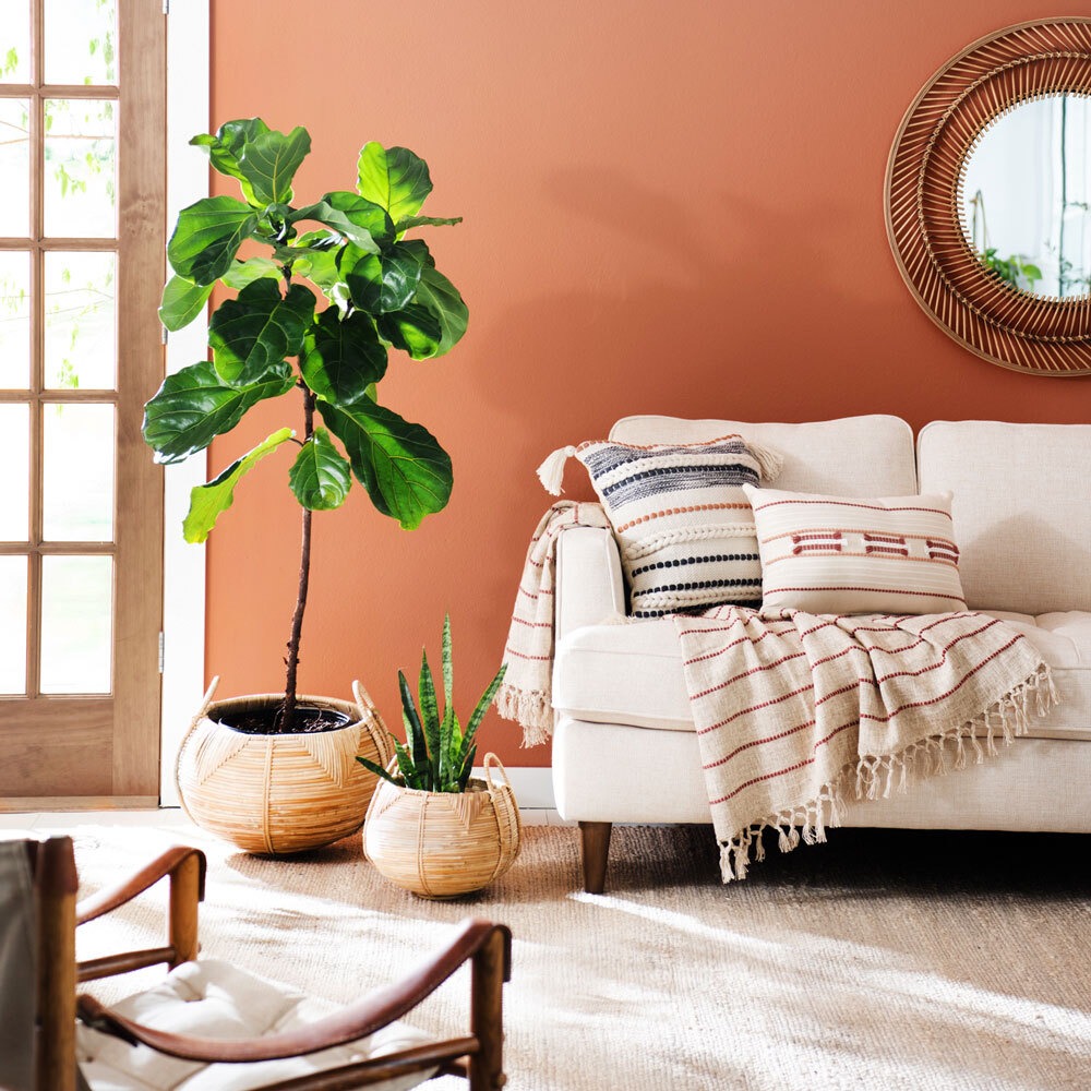 Ad by themagnoliamom.org