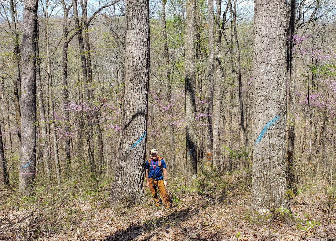 Ad by suuntostore.co.nz