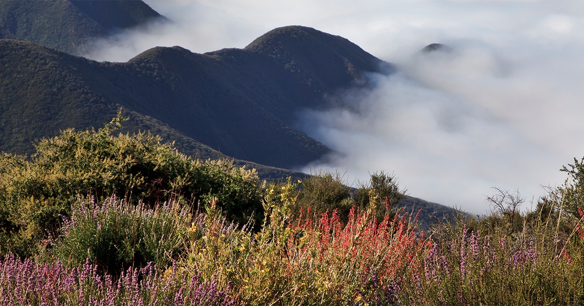 Ad by suuntostore.co.nz