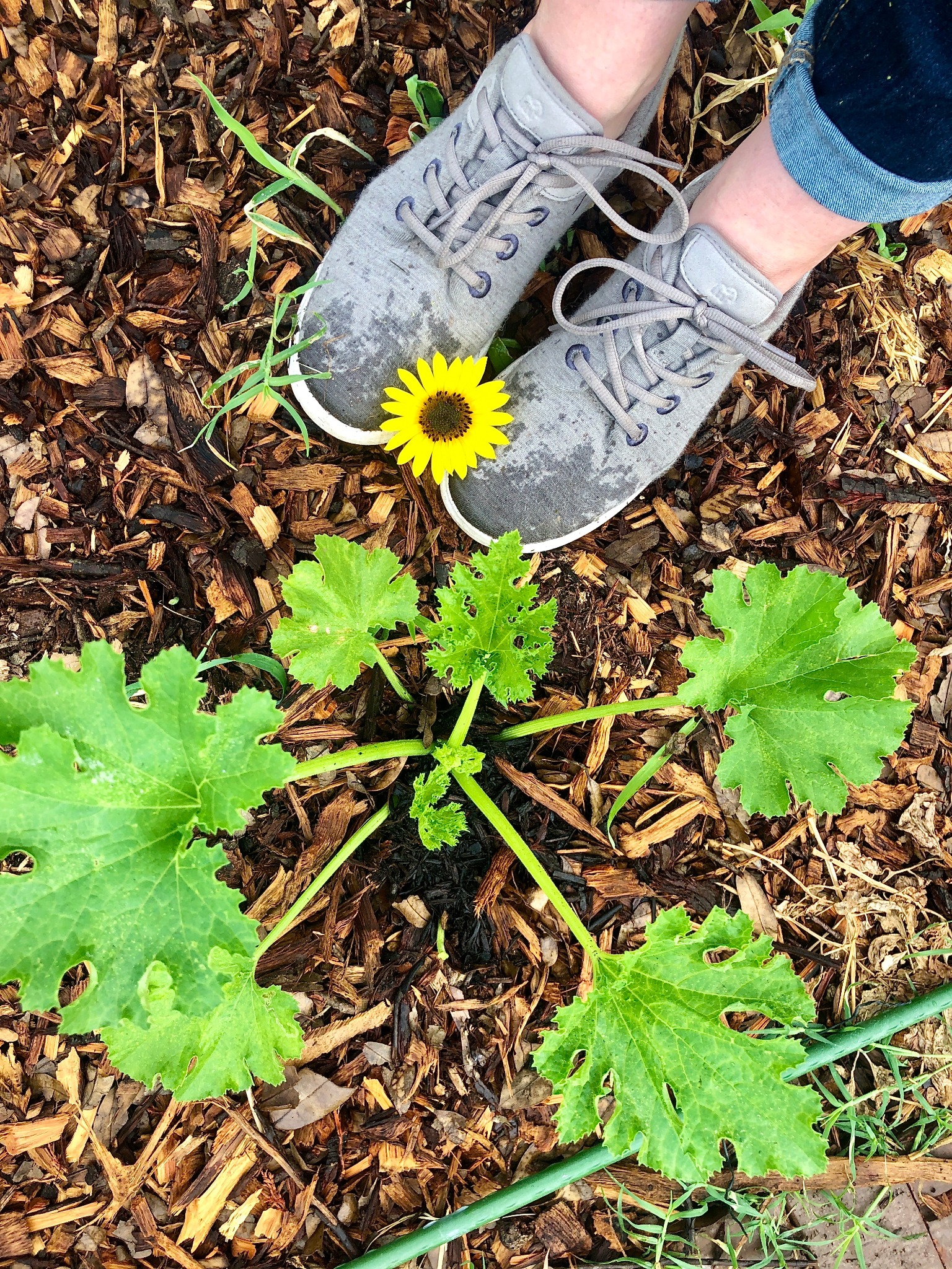 Ad by merinowoolshoes.com