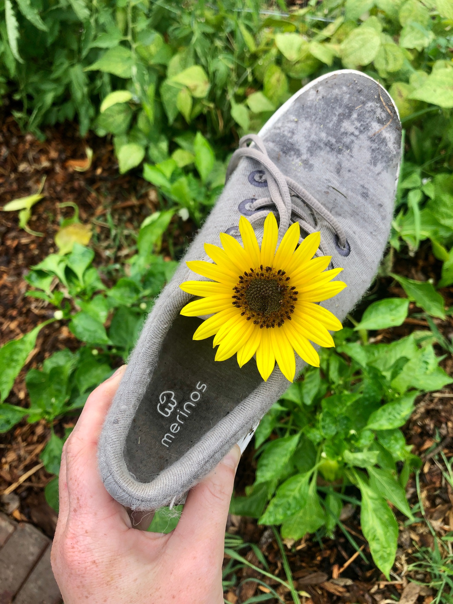 Ad by merinowoolshoes.com