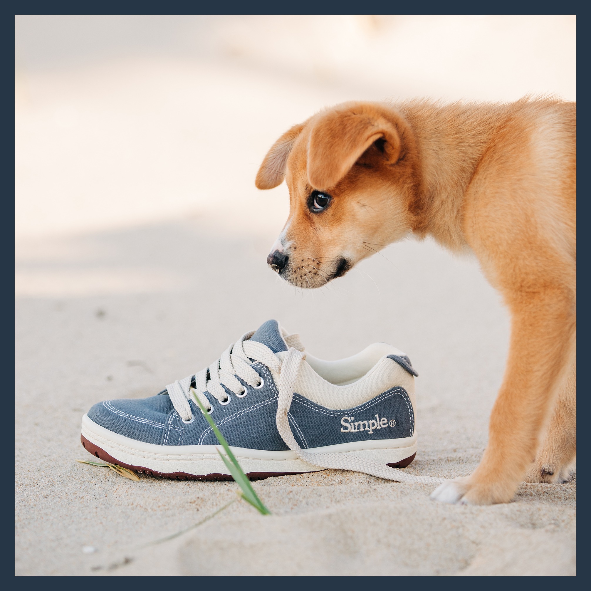 Ad by simpleshoes.com