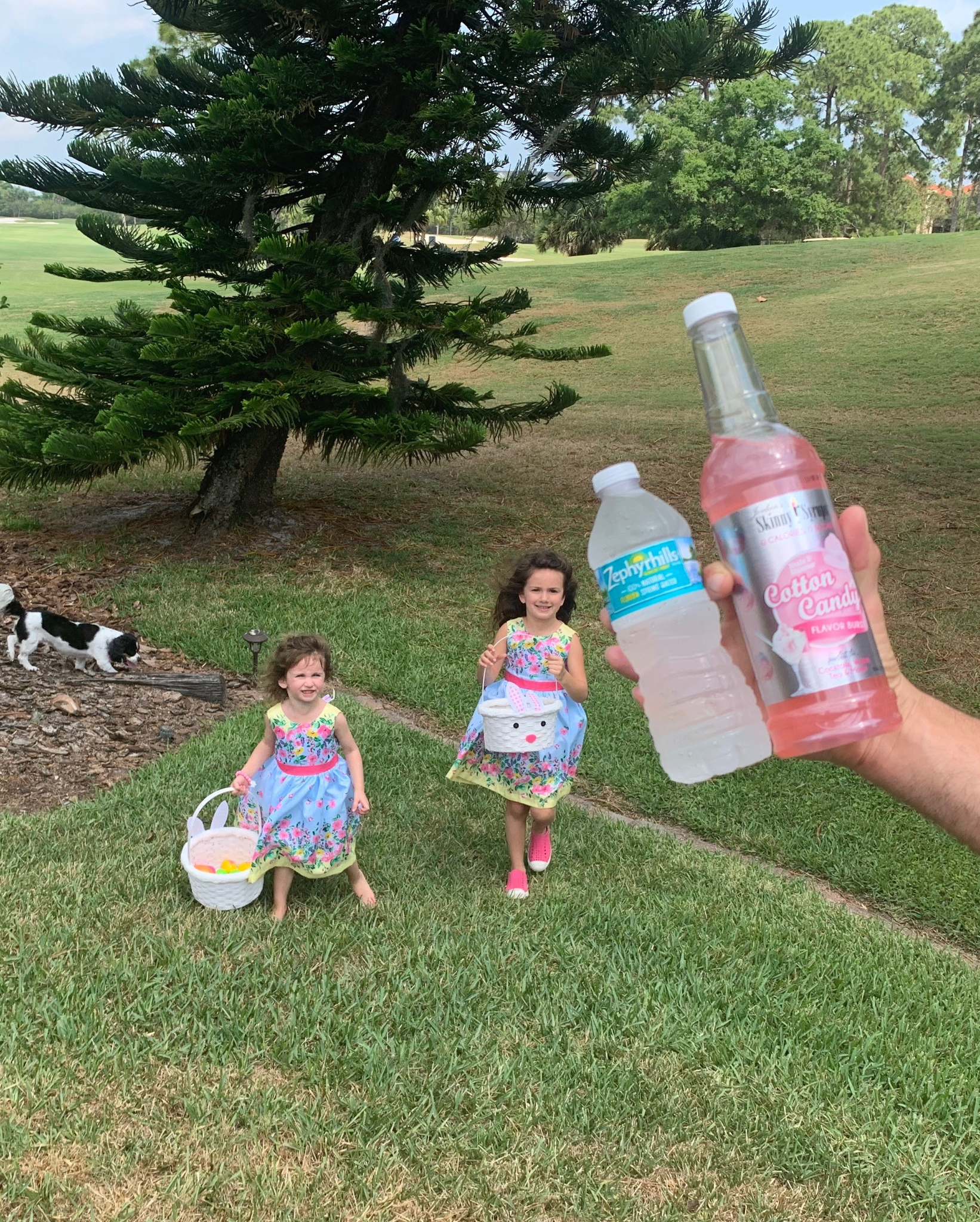 Ad by skinnymixes.com