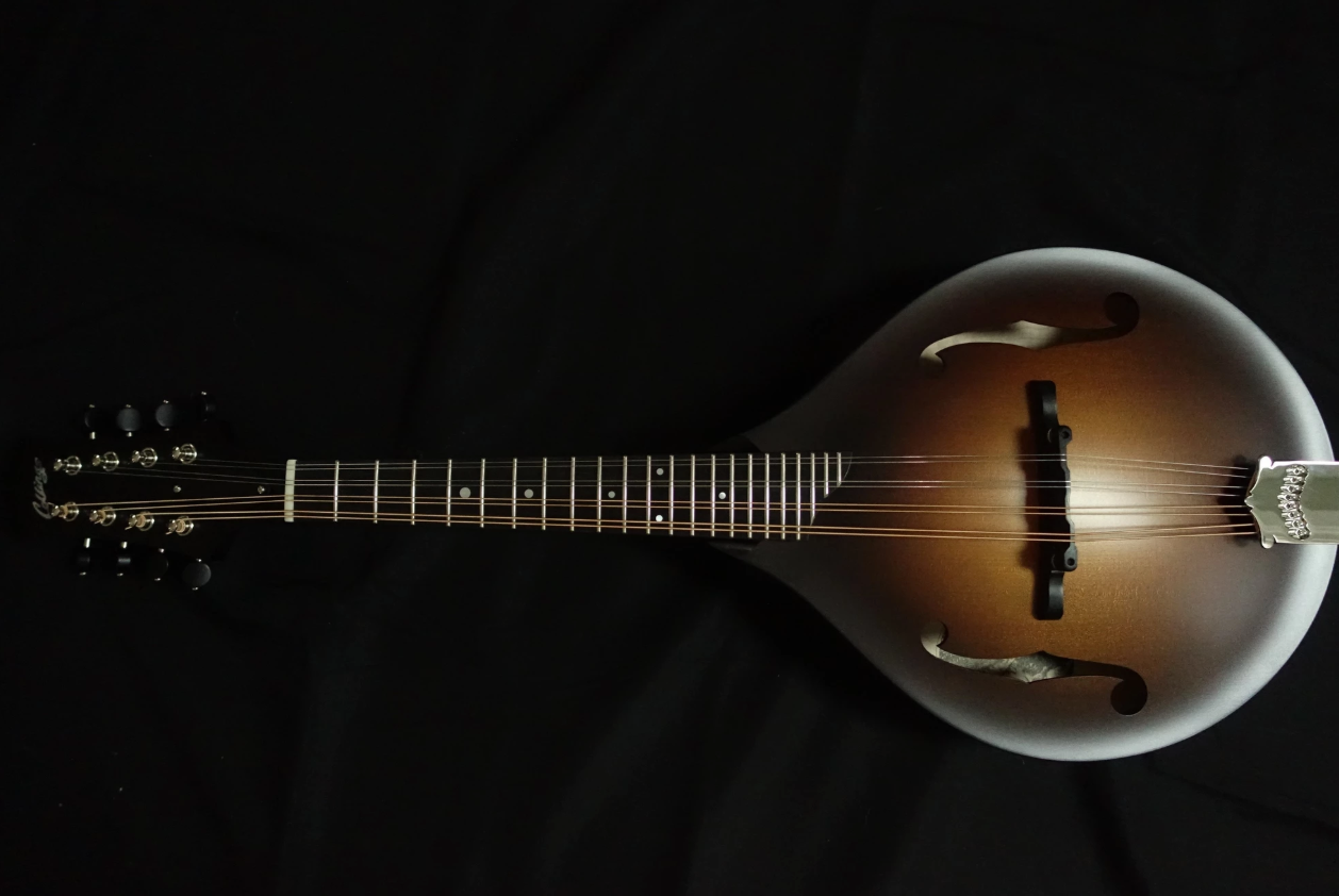 Ad by banjostudio.com