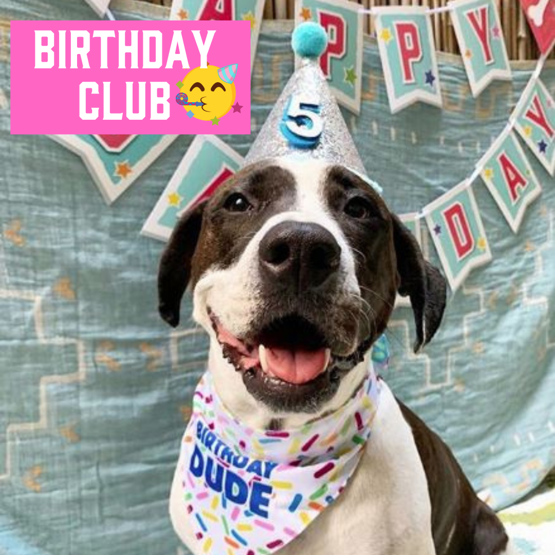 Ad by thedogbakery.com