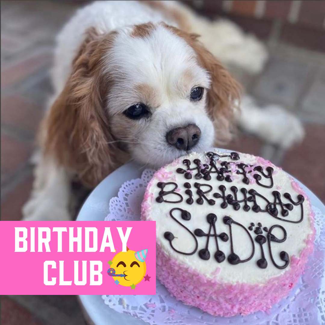 Ad by thedogbakery.com