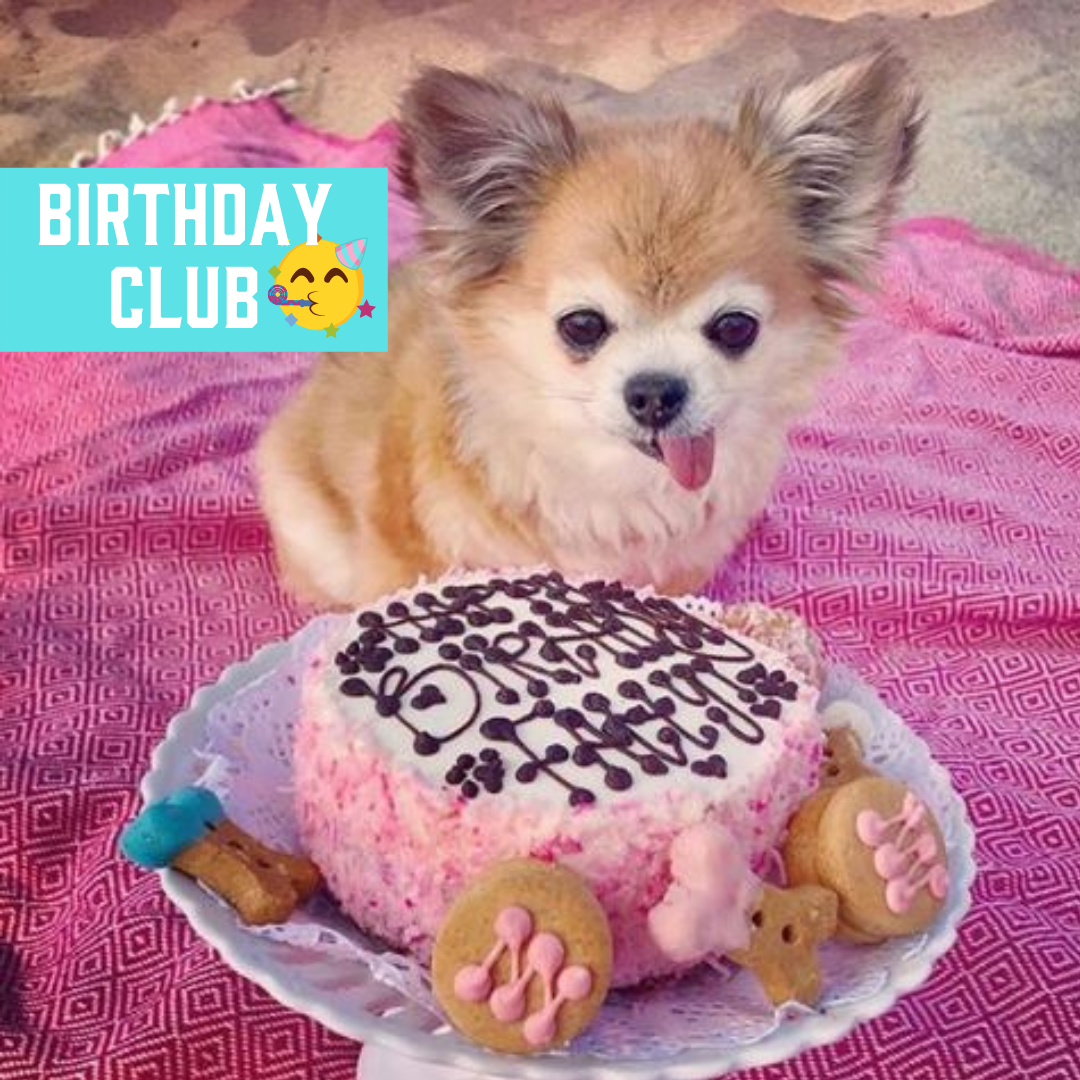 Ad by thedogbakery.com