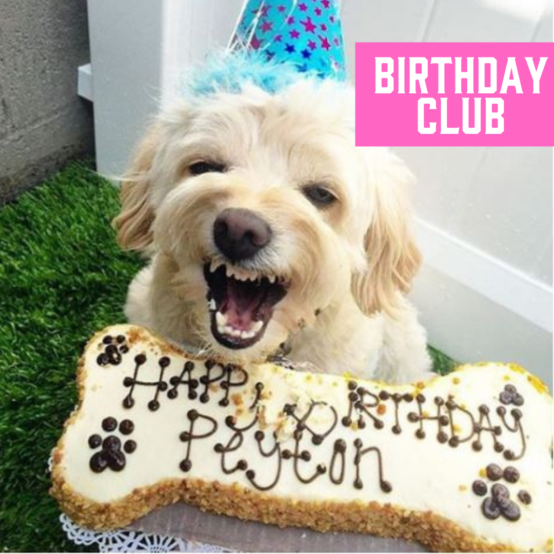 Ad by thedogbakery.com