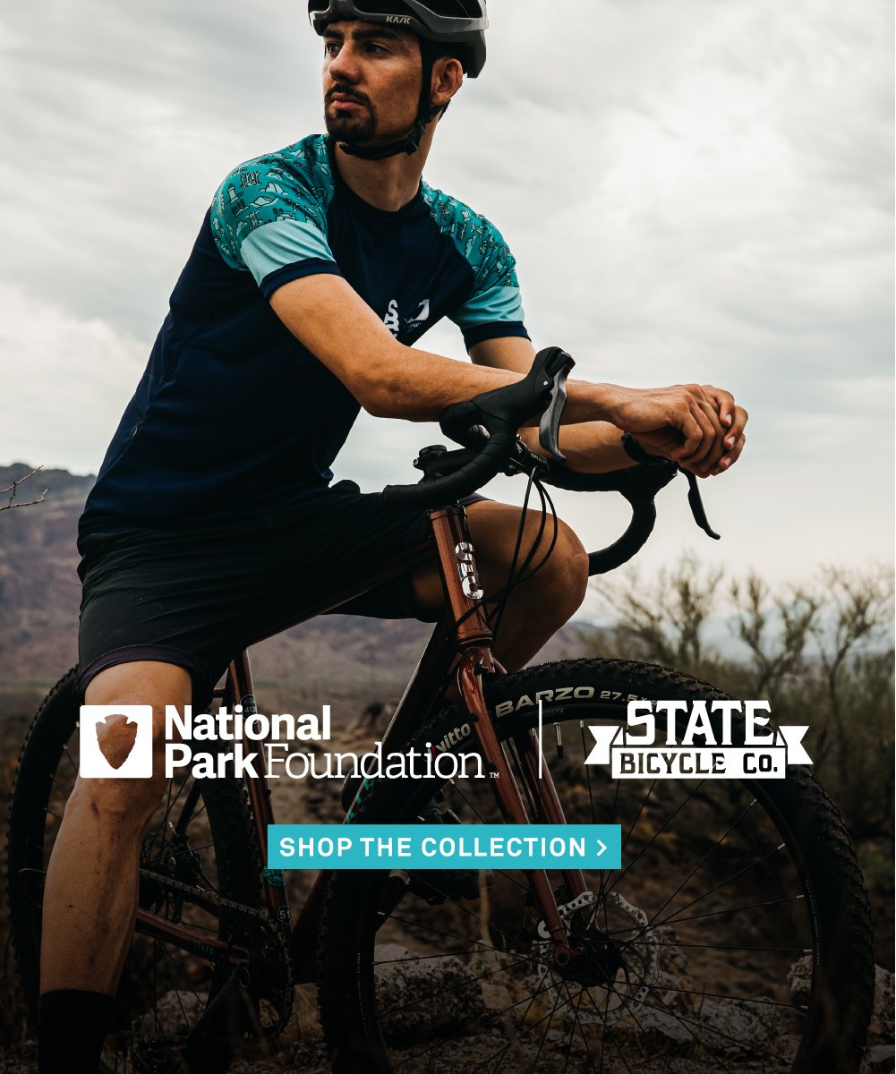 Ad by statebicycle.com