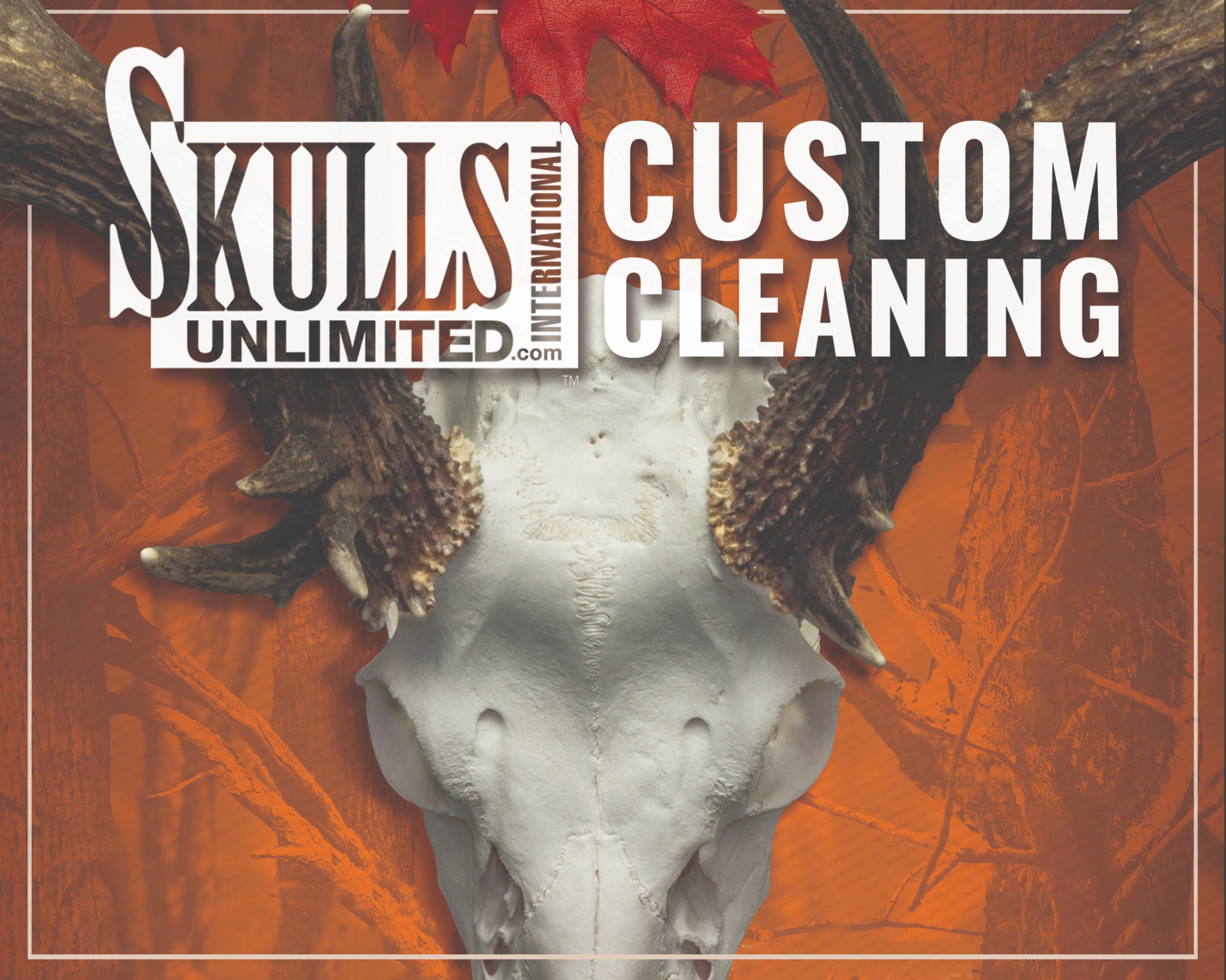Ad by skullsunlimited.com