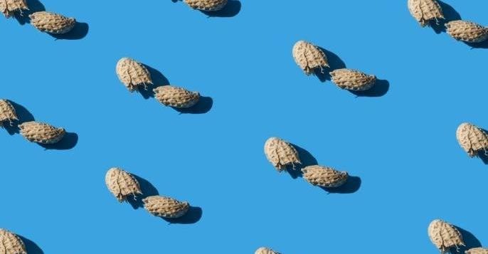 Ad by dudeproducts.com