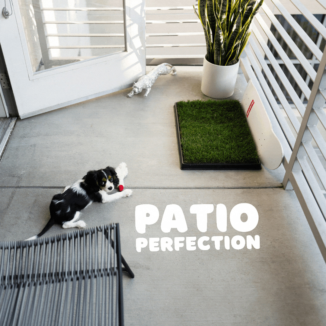 Ad by freshpatch.com