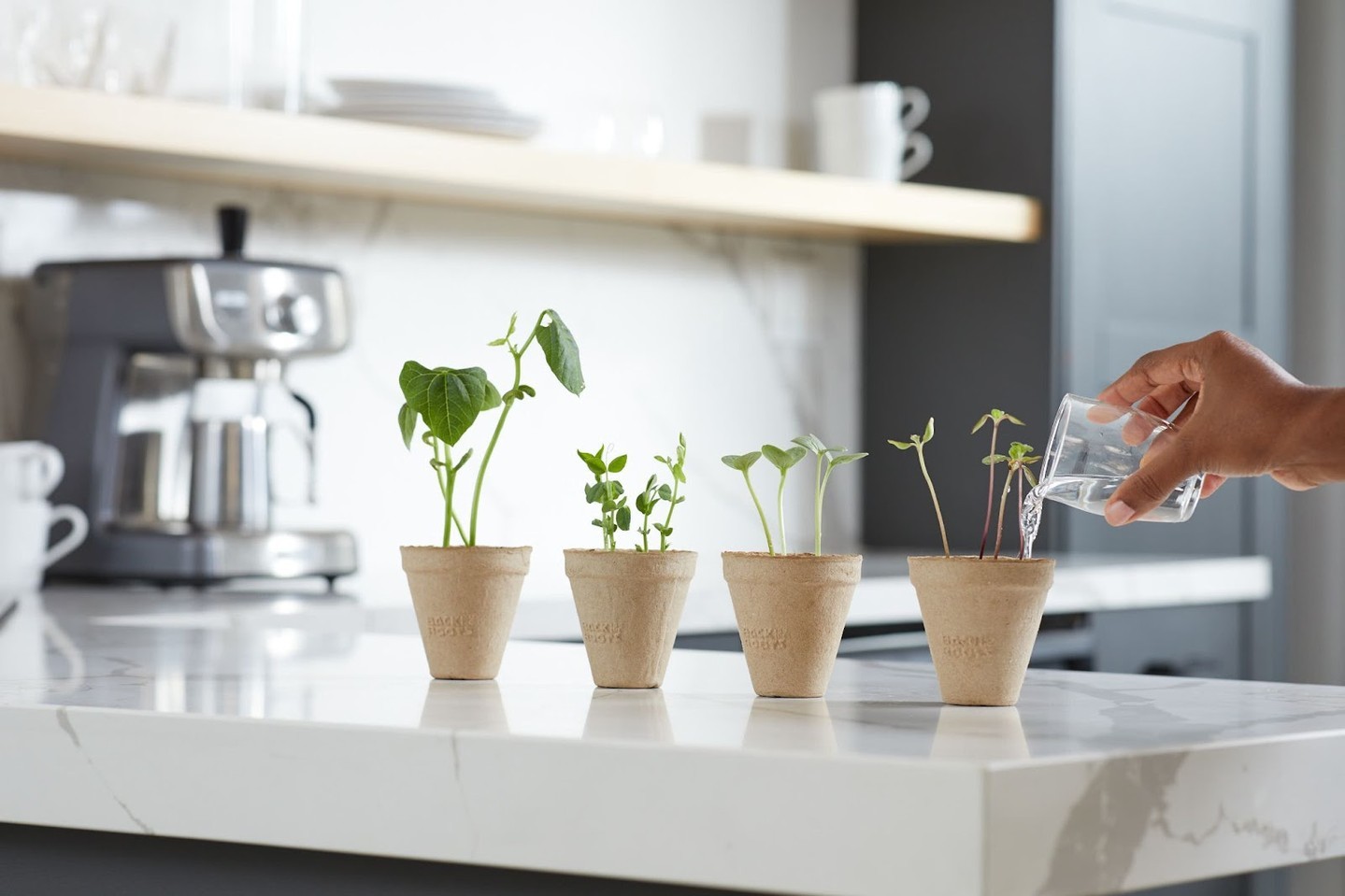 Ad by backtotheroots.com