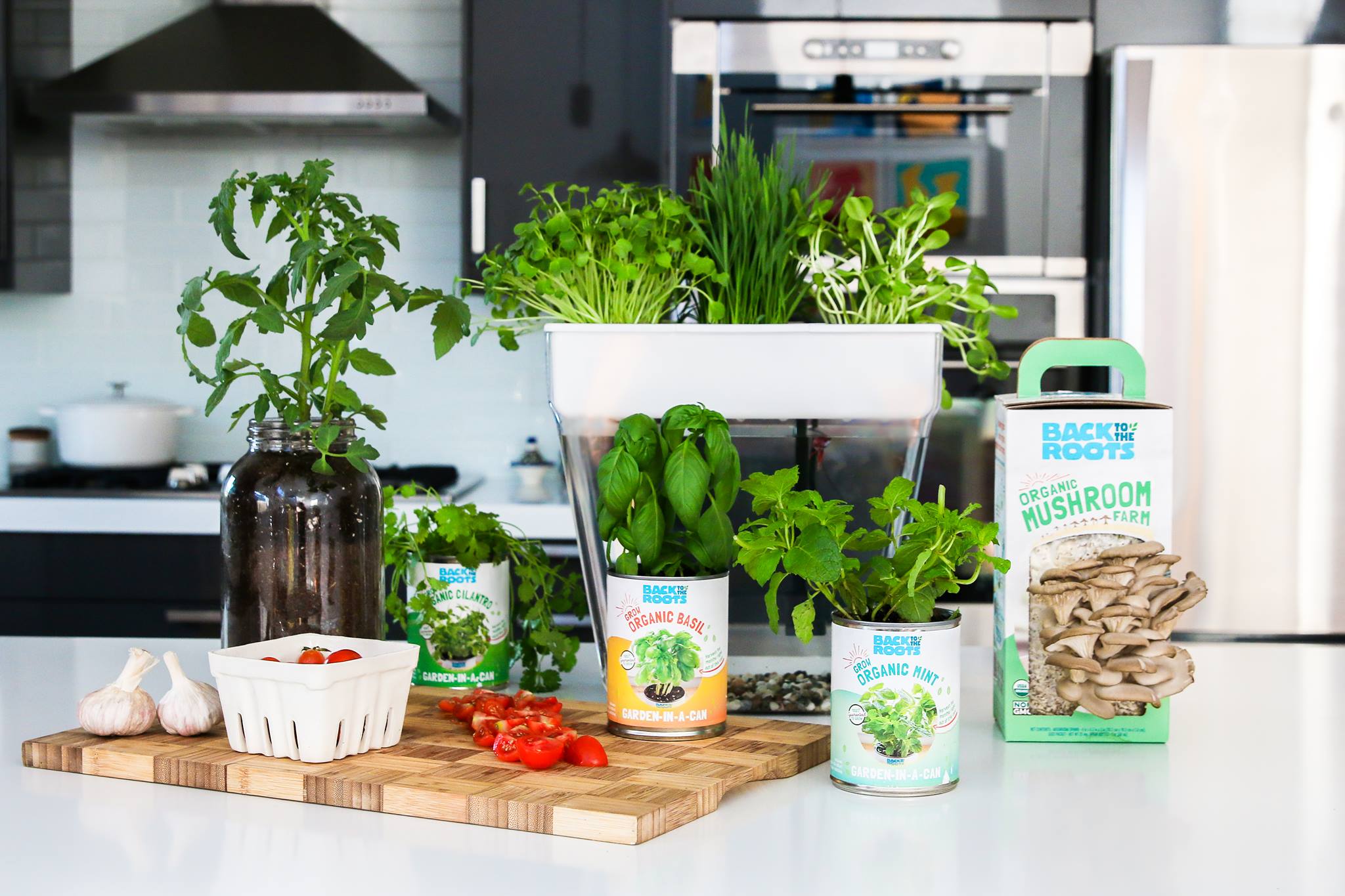 Ad by backtotheroots.com