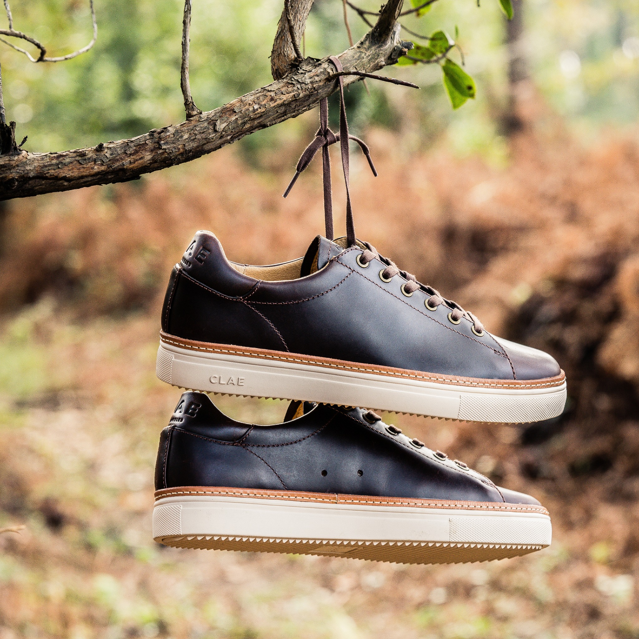 Ad by clae.com